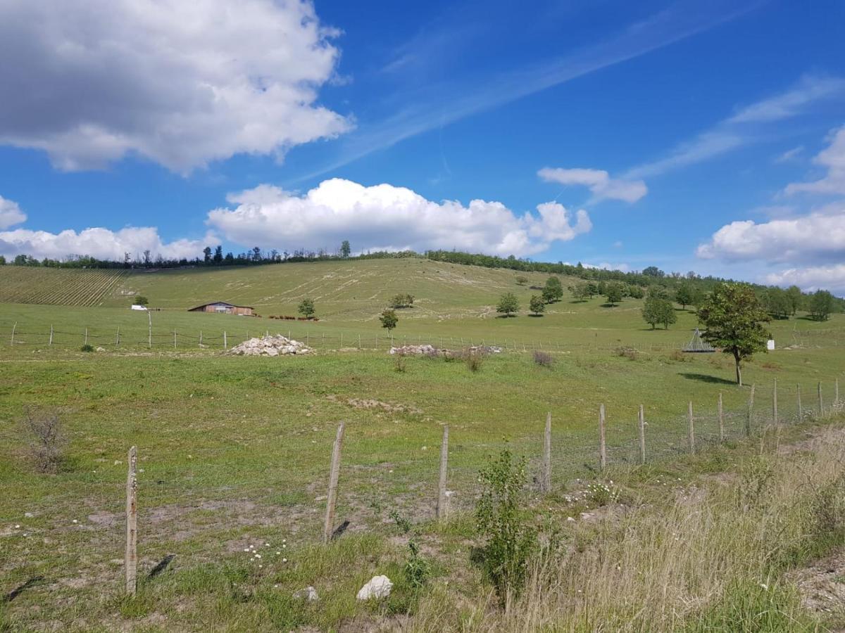 Warias Hotel & Restaurant Braunsbedra Kültér fotó